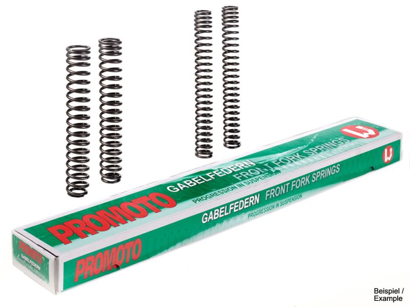 Promoto Gabelfedern Yamaha XJR 1300 (RP06 2002-)