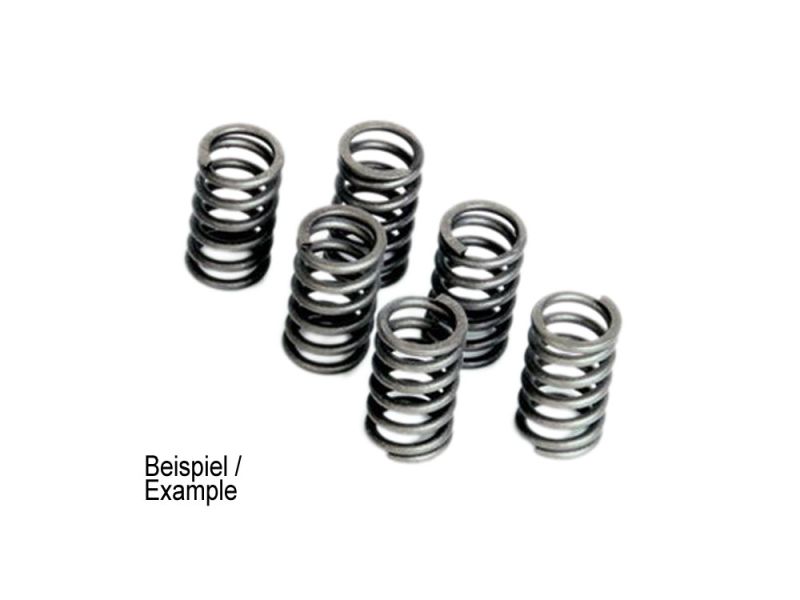 Ferodo Kupplungsfeder (135) Aprilia